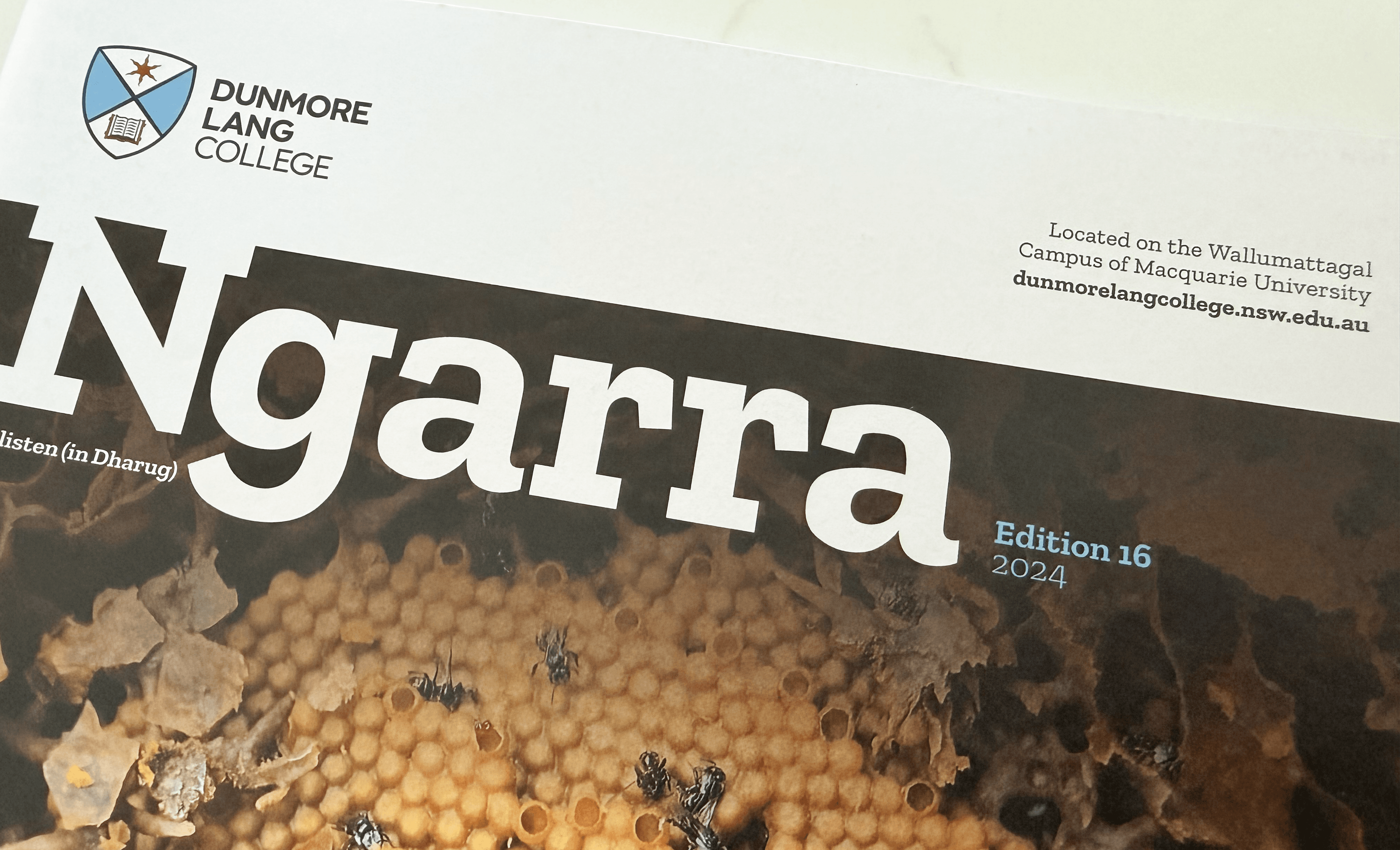 Featured Article Image